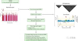 FINEMAP：使用GWAS摘要数据进行无功能注释数据的精细定位（Fine-mapping）-实验盒