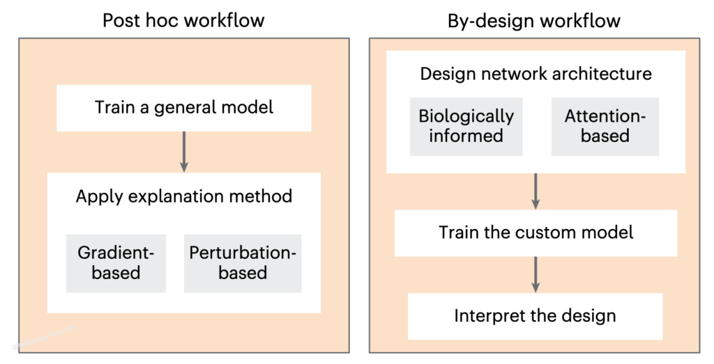 图片[2]-Nature Methods｜可解释机器学习在计算生物学中的应用与陷阱 --实验盒