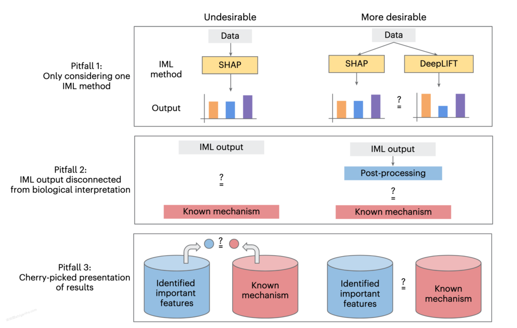 图片[4]-Nature Methods｜可解释机器学习在计算生物学中的应用与陷阱 --实验盒